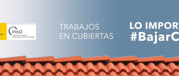 El INSST lanza la campaña “Trabajos en cubiertas: lo importante es bajar con vida”