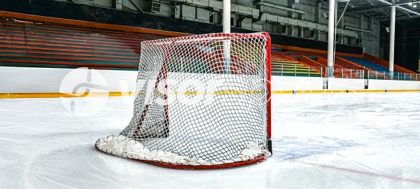 Redes deportivas de hockey sala, hockey sobre césped (o hierba), hockey sobre hielo, hockey sobre patines (en paralelo), hockey en línea - VISORSPORTS - VISORNETS