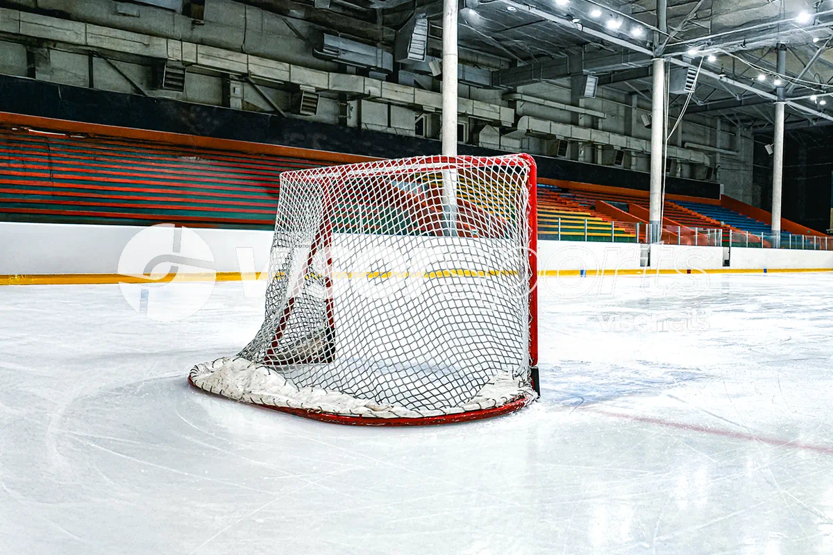 Redes deportivas de hockey sala, hockey sobre césped (o hierba), hockey sobre hielo, hockey sobre patines (en paralelo), hockey en línea - VISORSPORTS - VISORNETS