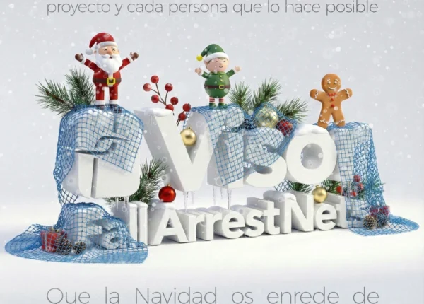 Balance del año de Visor Fall Arrest Nets: Proyectos internacionales, innovación y crecimiento en el sector de la seguridad